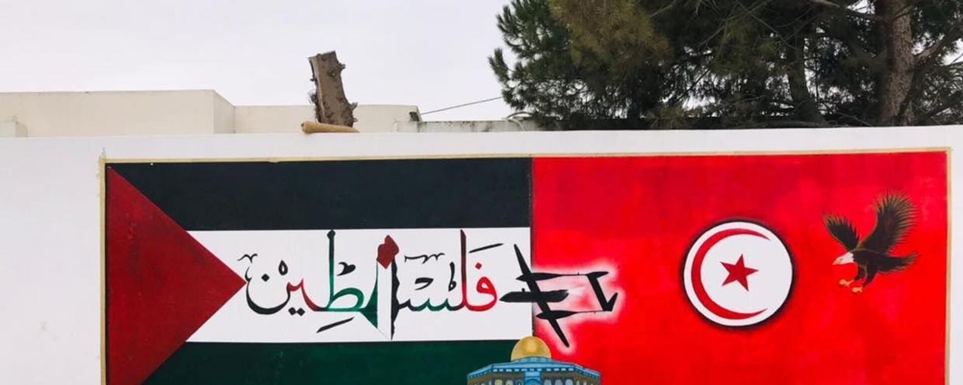 شباب يرسمون جداريات في شوارع تونس توثق معاناة الفلسطينيين وتدعم قضيتهم - سبوتنيك عربي, 1920, 08.02.2025