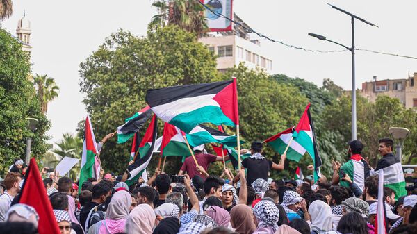 فلسطين - سبوتنيك عربي