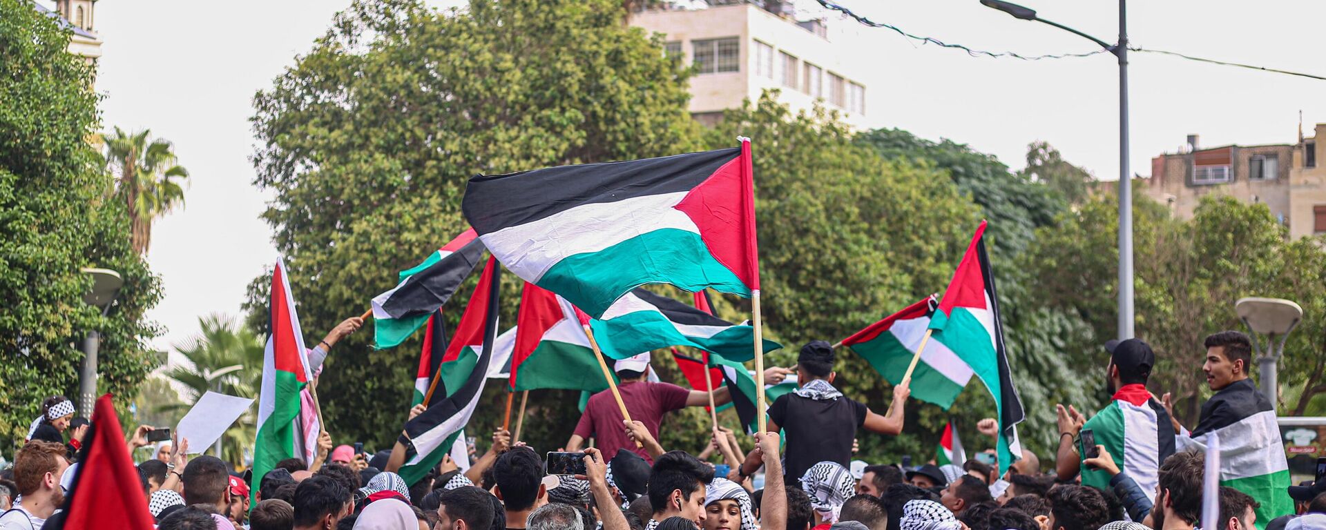 فلسطين - سبوتنيك عربي, 1920, 16.09.2025