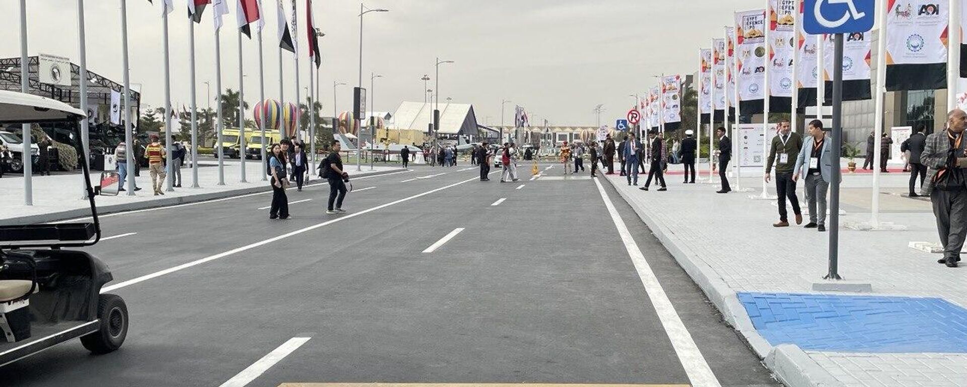 فاعليات اليوم الأخير للمعرض الدولي للصناعات الدفاعية إيديكس - 2023 الذي استضافته مصر خلال الفترة من 4 إلى 7 ديسمبر/ كانون الأول 2023 - سبوتنيك عربي, 1920, 30.11.2025