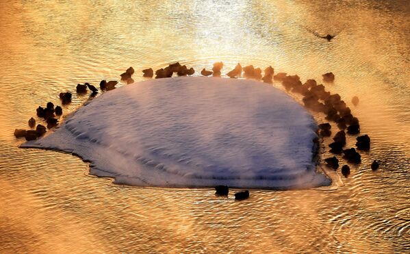 البط البري على نهر ينيسي في كراسنويارسك عند درجة حرارة هواء تبلغ نحو 27 درجة مئوية تحت الصفر. خلال النهار، انخفضت درجة حرارة الهواء في كراسنويارسك إلى أقل من 30 درجةمئوية تحت الصفر، وفي المناطق الوسطى والجنوبية من المنطقة إلى أقل من 40 درجة مئوية تحت الصفر. - سبوتنيك عربي