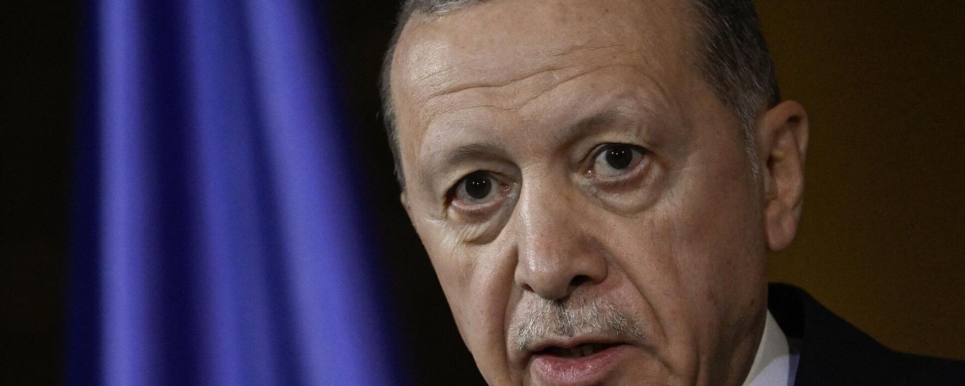 الرئيس التركي، رجب طيب أردوغان - سبوتنيك عربي, 1920, 12.01.2024