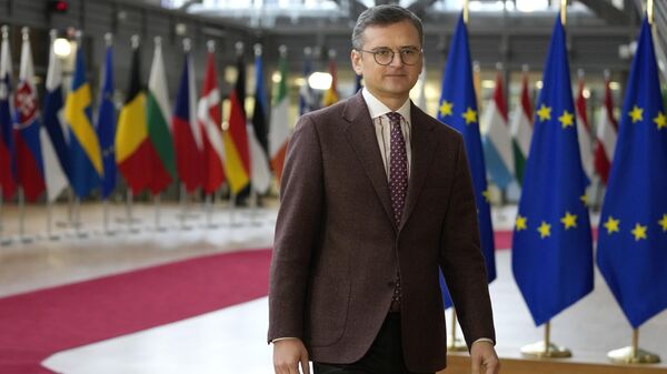 وزير الخارجية الأوكراني دميترو كوليبا - سبوتنيك عربي