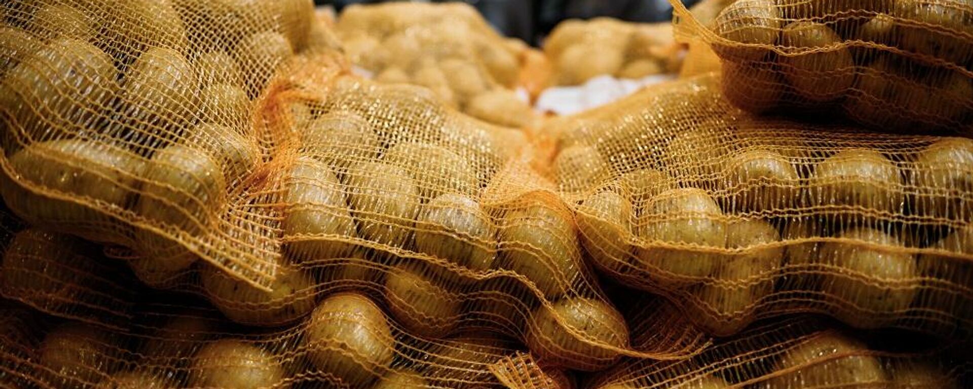 بطاطس بطاطس - سبوتنيك عربي, 1920, 21.12.2023