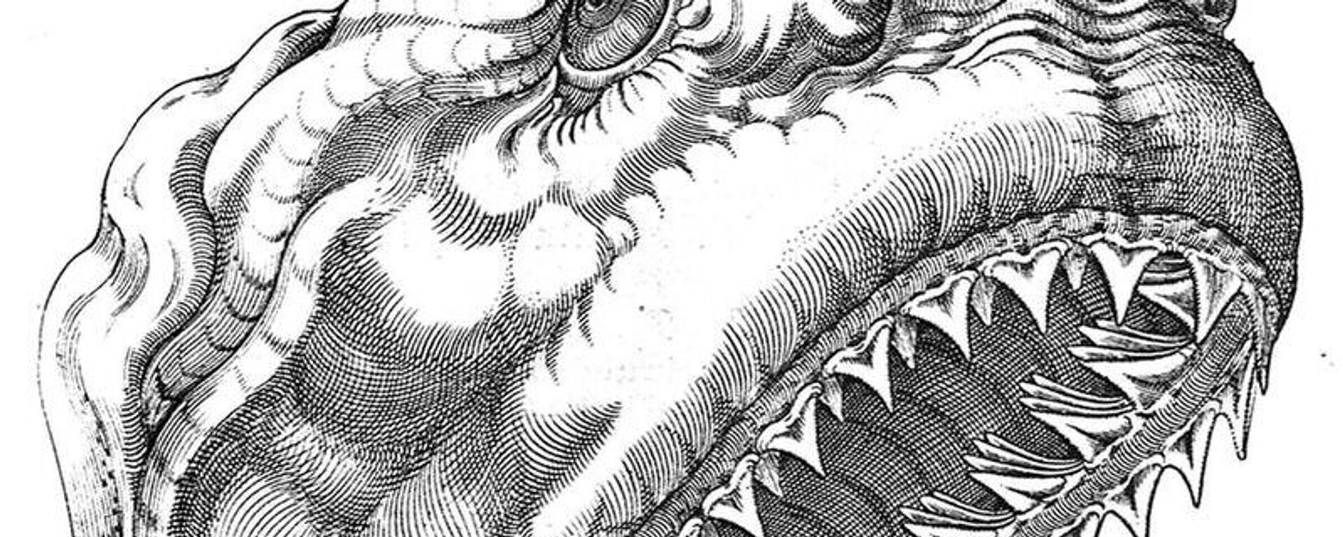 صورة خيالية لرأس قرش ميغالودون المنقرض قبل رملايين السنين  - سبوتنيك عربي, 1920, 22.12.2023