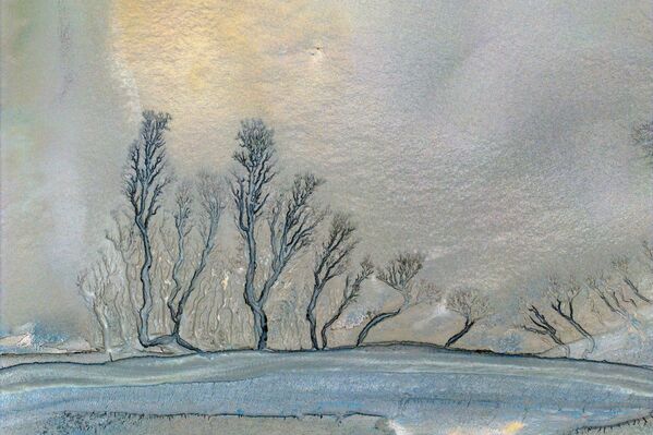 تظهر هذه الصورة الجوية التي التقطت في 13 نوفمبر 2023، منظرا لأرض رطبة في يانتشنغ في مقاطعة جيانغسو شرقي الصين.  - سبوتنيك عربي