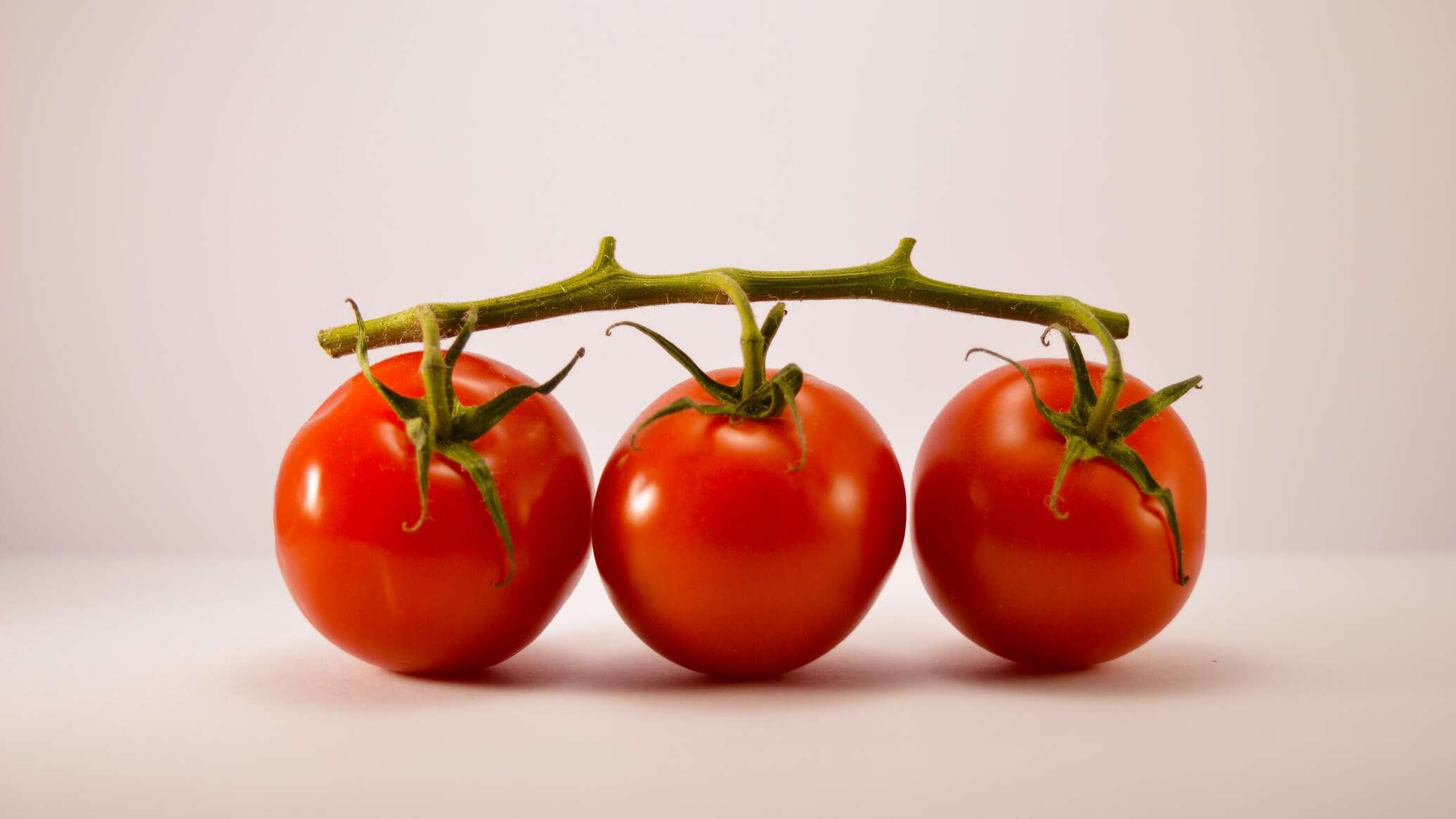 روسيا تطور دفيئة فضائية لزراعة الخضروات خلال الرحلات إلى المريخ