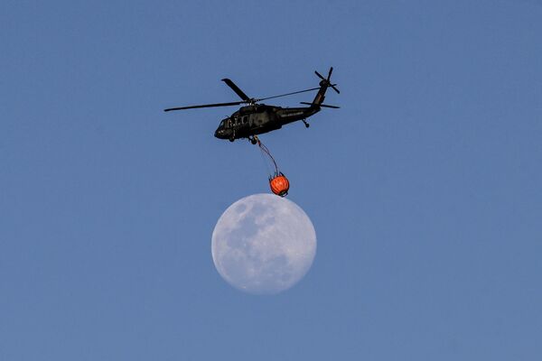 تقوم مروحية تابعة للقوات المسلحة بتحميل المياه لإخماد حرائق الغابات في بوغوتا في 23 يناير 2024. اندلعت ما لا يقل عن أربعة حرائق غابات نشطة عدة مناطق في كولومبيا والعاصمة بوغوتا، وسط موجة من الحرائق بسبب ارتفاع درجات الحرارة الناجمة عن وذكرت السلطات أن ظاهرة النيسكو. تقوم مروحية تابعة للقوات المسلحة بتحميل المياه لإخماد حرائق الغابات في بوغوتا في 23 يناير 2024. اندلعت ما لا يقل عن أربعة حرائق غابات نشطة عدة مناطق في كولومبيا والعاصمة بوغوتا، وسط موجة من الحرائق بسبب ارتفاع درجات الحرارة الناجمة عن وذكرت السلطات أن ظاهرة النيسكو. - سبوتنيك عربي