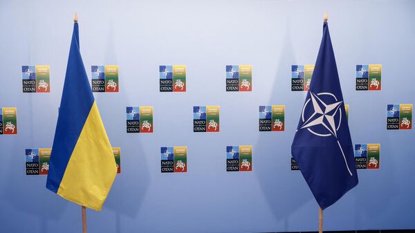 أعلام أوكرانيا وحلف شمال الأطلسي (الناتو) - سبوتنيك عربي