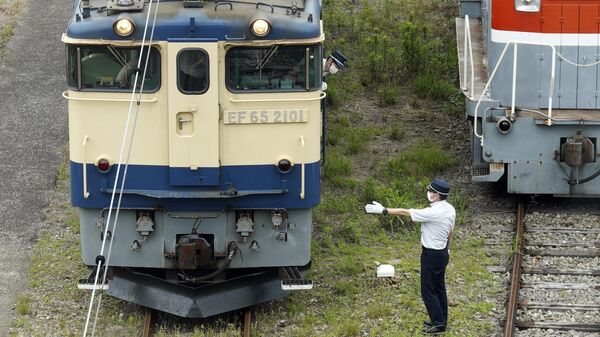 قطار - سبوتنيك عربي