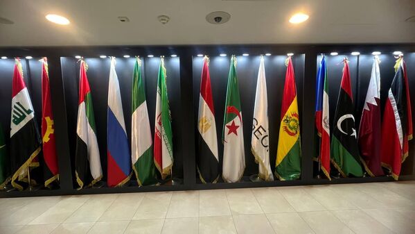 انطلاق أعمال القمة السابعة لمنتدى الدول المصدرة للغازفي الجزائر - سبوتنيك عربي