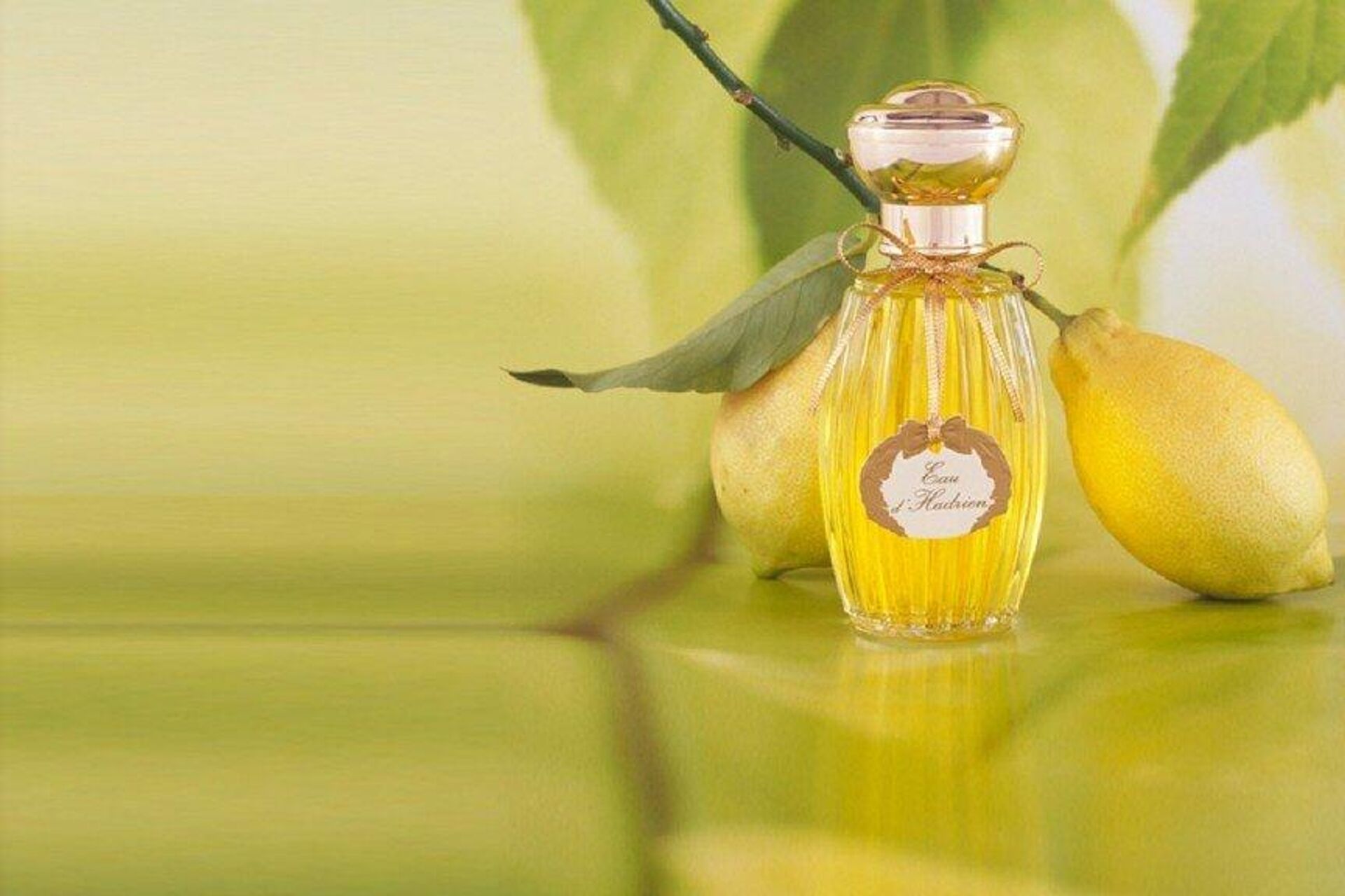 عطر أنيك غوتال أو دي هادريان - سبوتنيك عربي, 1920, 05.03.2024