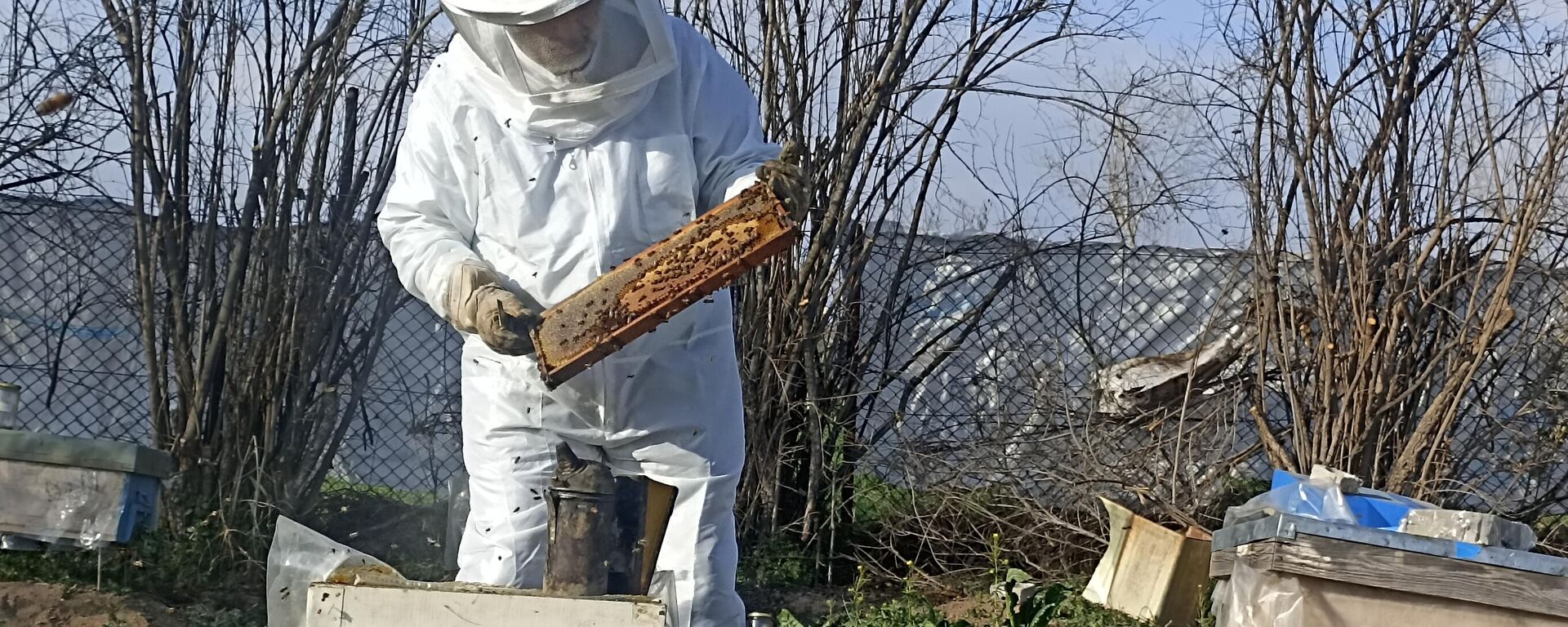 طبيب سوري يعالج مرضاه بـ لسعات النحل - سبوتنيك عربي, 1920, 08.03.2024