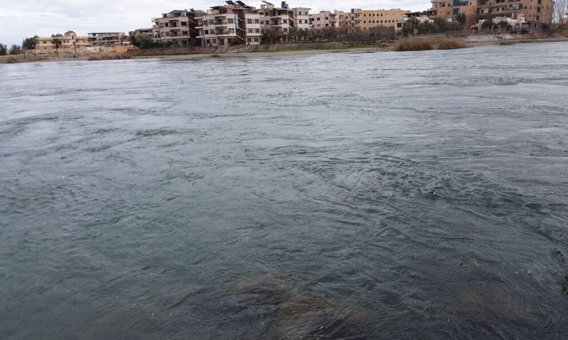 الفرات يتنقس الصعداء بعد ارتفاع منسوبه داخل الأراضي السورية الفرات يتنقس الصعداء بعد ارتفاع منسوبه داخل الأراضي السورية - سبوتنيك عربي, 1920, 10.03.2024