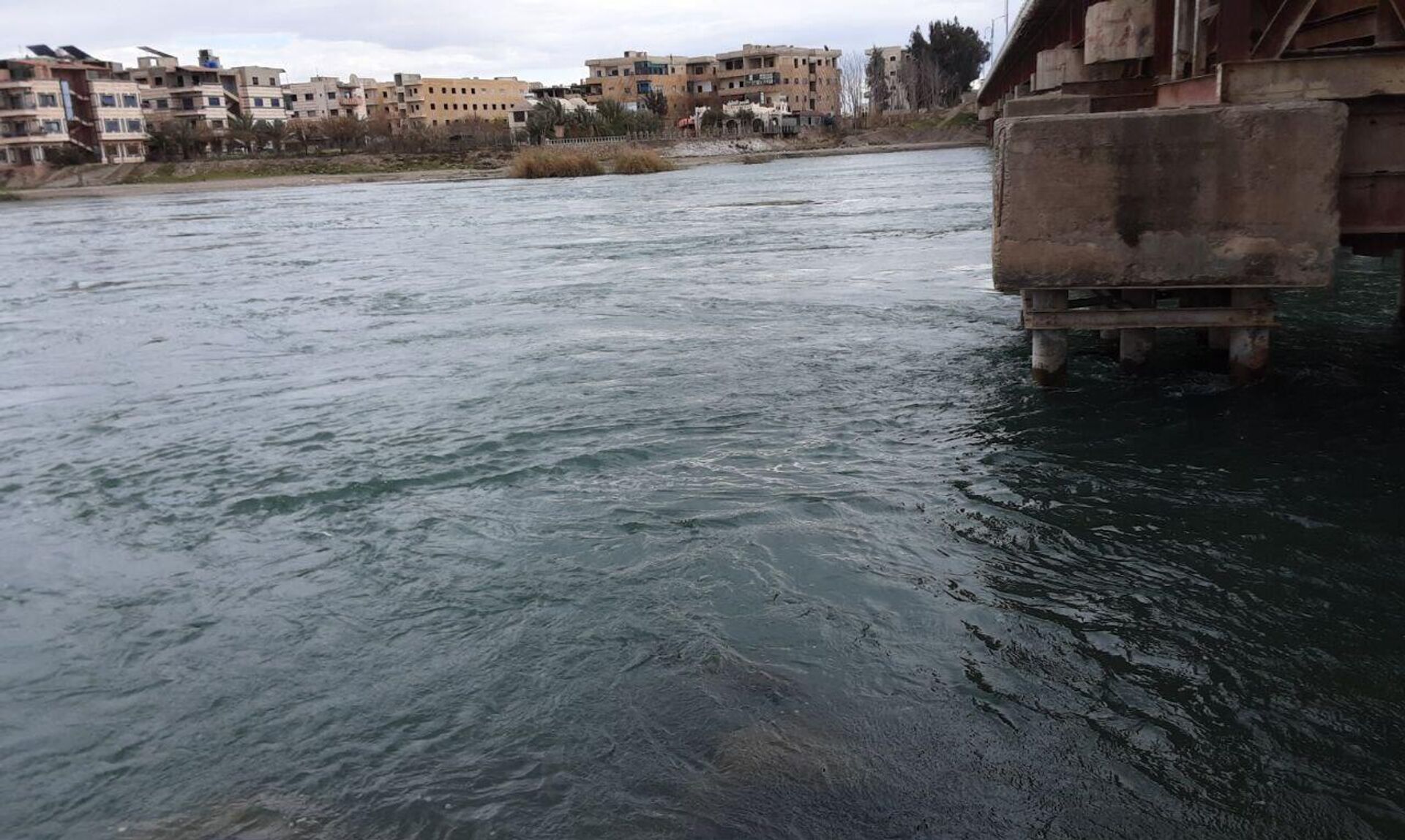 الفرات يتنقس الصعداء بعد ارتفاع منسوبه داخل الأراضي السورية الفرات يتنقس الصعداء بعد ارتفاع منسوبه داخل الأراضي السورية - سبوتنيك عربي, 1920, 10.03.2024