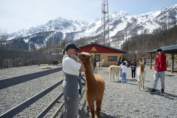 زوار في حديقة باشا ماما الألبكة - سبوتنيك عربي