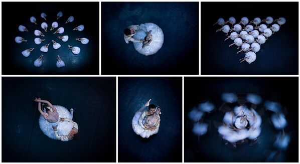 صور الزهور الراقصة التي صورها رين شي التي احتلت المركز الأول في فئة الفائزين بالمقالات خلال المسابقة الثالثة عشرة للتصوير الفوتوغرافي عبر الهاتف هذا العام. صور الزهور الراقصة التي صورها رين شي التي احتلت المركز الأول في فئة الفائزين بالمقالات خلال المسابقة الثالثة عشرة للتصوير الفوتوغرافي عبر الهاتف هذا العام. - سبوتنيك عربي