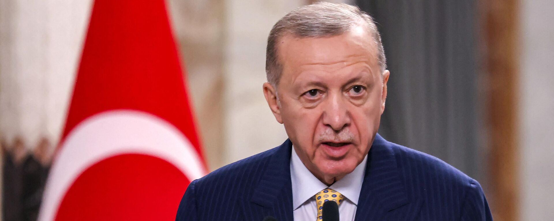 الرئيس التركي، رجب طيب أردوغان - سبوتنيك عربي, 1920, 03.05.2024