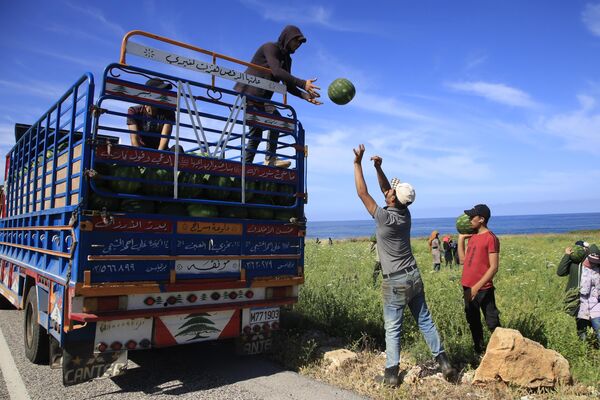 مزارعو البطيخ جنوبي لبنان يواصلون جني محاصيلهم ويرسلون رسالة دعم لفلسطين - سبوتنيك عربي