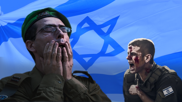 بالأرقام... كابوس النيران الصديقة يرعب الجيش الإسرائيلي - سبوتنيك عربي