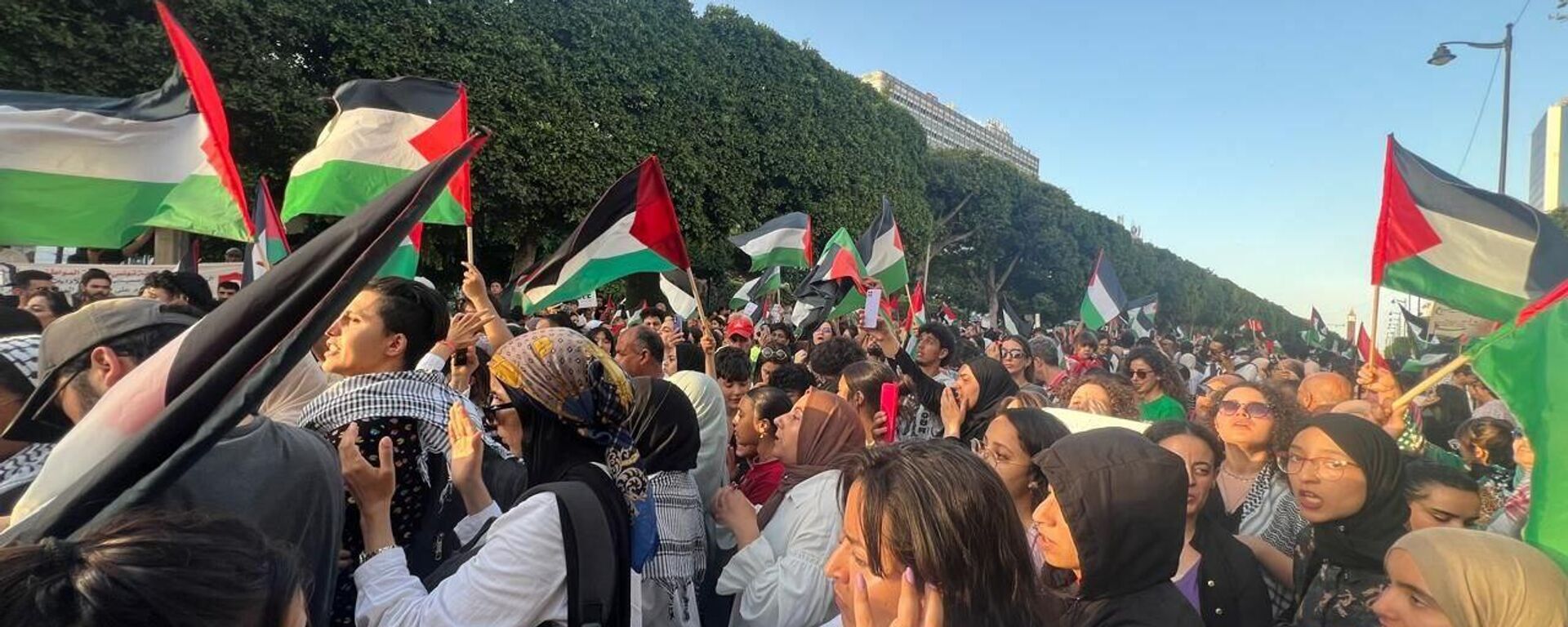 تونسيون ينظمون مظاهرات تنديدا بمجزرة رفح الفلسطينية - سبوتنيك عربي, 1920, 06.09.2025