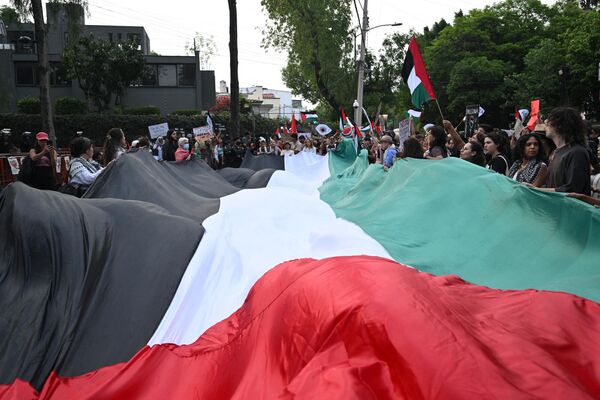 أنصار فلسطين المشاركون في مظاهرة مؤيدة للفلسطينيين أمام السفارة الإسرائيلية في مكسيكو يرفعون العلم الفلسطيني - سبوتنيك عربي