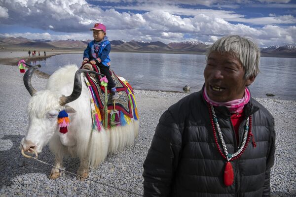 رجل تبتي يقف في مكان قريب بينما يلتقط سائح صورًا لطفل على ثور أبيض - سبوتنيك عربي