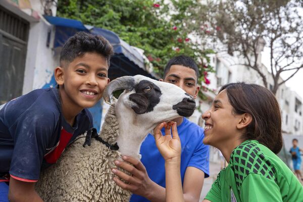 أطفال تونسيون يلاعبون خروفًا في تونس، في عطلة عيد الأضحى، تونس 16 يونيو 2024 - سبوتنيك عربي