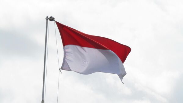 علم إندونيسيا - سبوتنيك عربي