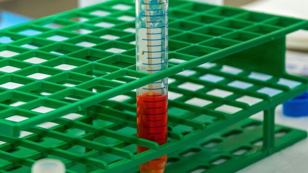  - سبوتنيك عربي