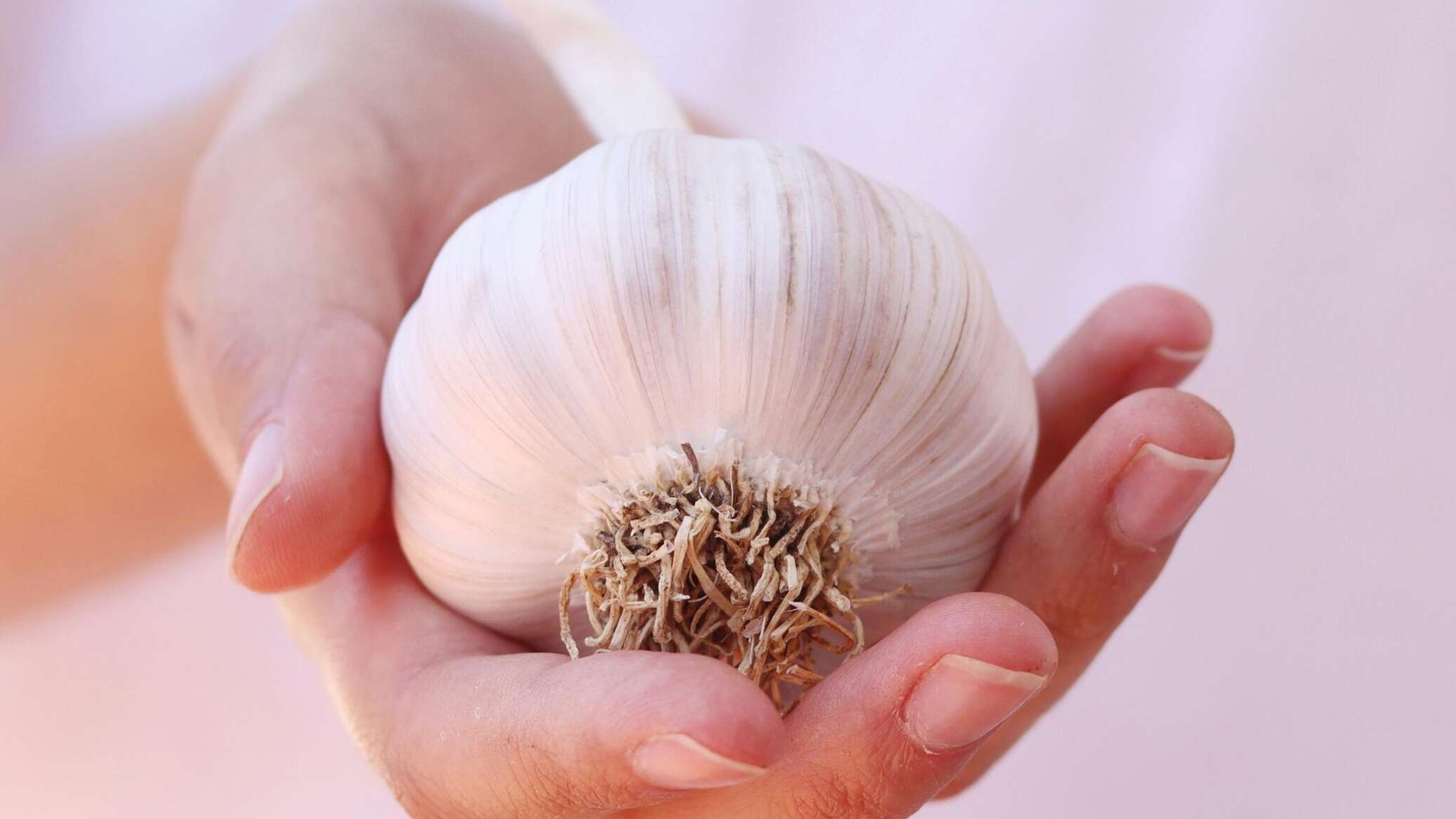 منافس طبيعي لغسولات الفم التقليدية... دراسة