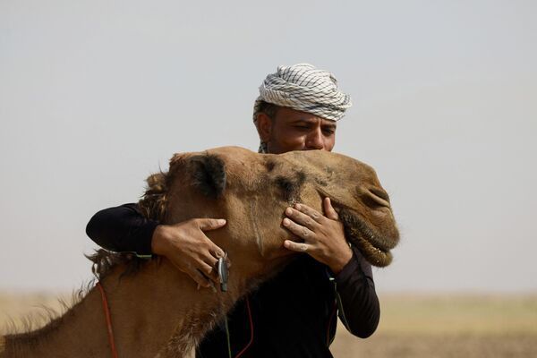 رجل يعانق جملاً في منطقة الخميسية جنوب شرق بغداد، في 9 يوليو 2024. - سبوتنيك عربي