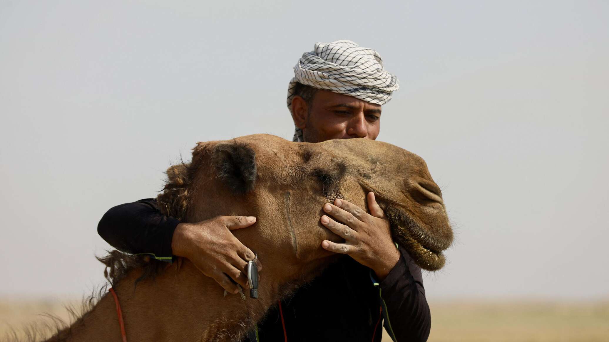 إبل تبحث عن الماء في إحدى أكثر المناطق العربية حرا