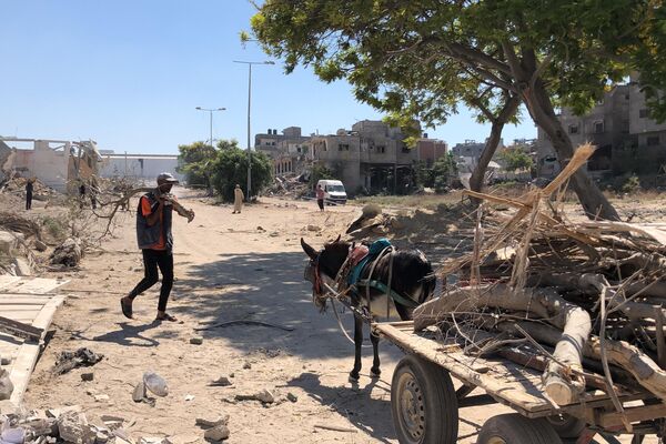 الحطب في زمن الحرب ... بديل شحيح محفوف بالمخاطر للفلسطينيين في شمال غزة - سبوتنيك عربي