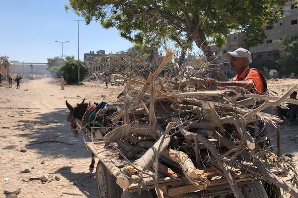 الحطب في زمن الحرب ... بديل شحيح محفوف بالمخاطر للفلسطينيين في شمال غزة - سبوتنيك عربي