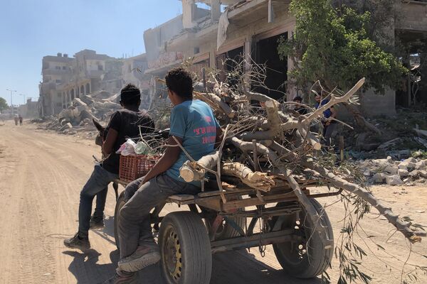 الحطب في زمن الحرب ... بديل شحيح محفوف بالمخاطر للفلسطينيين في شمال غزة - سبوتنيك عربي