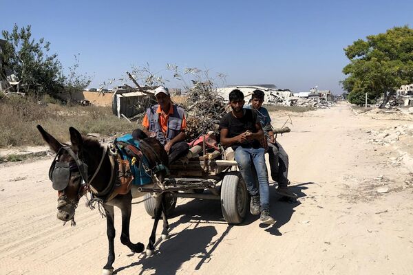 الحطب في زمن الحرب ... بديل شحيح محفوف بالمخاطر للفلسطينيين في شمال غزة - سبوتنيك عربي