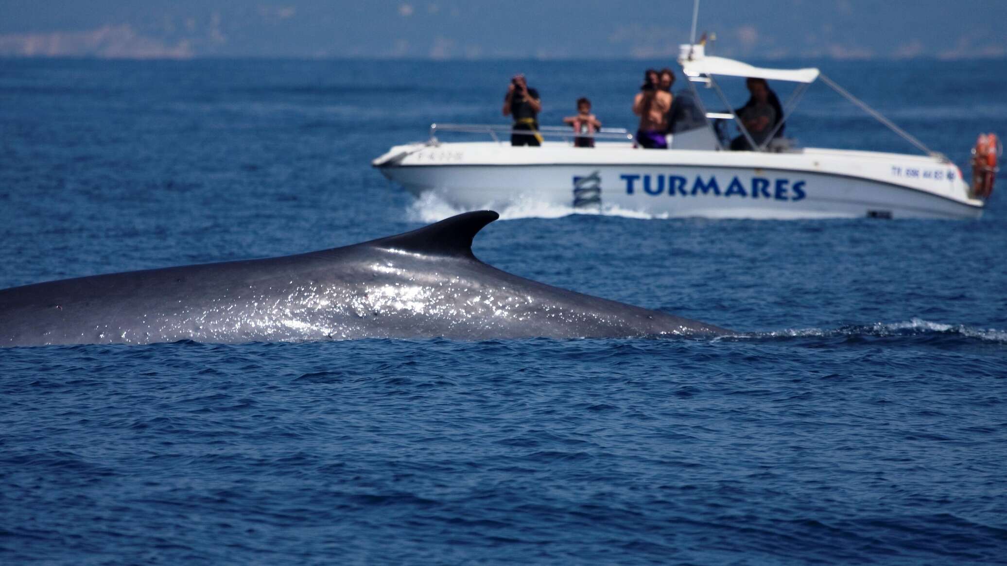 نفق عملاق يربط بين أوروبا وأفريقيا... أهم تفاصيل المشروع التاريخي