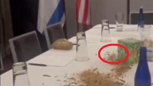 مشاهد متداولة لديدان وحشرات في مكتب رئيس الوزراء الإسرائيلي بنيامين نتنياهو  - سبوتنيك عربي