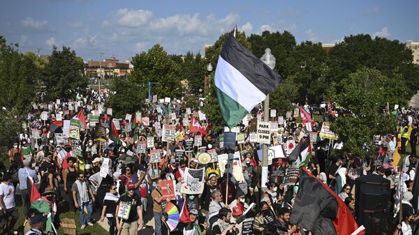 متاظهرون مؤيدون لفلسطين أمام الحاجز الأمني في المؤتمر الوطني للحزب الديمقراطي في مدينة شيكاغو 19 أغسطس 2024 - سبوتنيك عربي