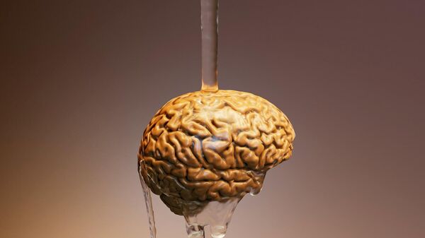 دماغ - سبوتنيك عربي