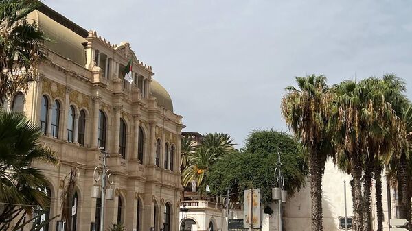 الانتخابات الرئاسية في الجزائر - سبوتنيك عربي