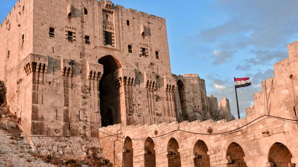 مدير آثار حلب لـ سبوتنيك: استئناف السياحة في القلعة بعد ترميم أضرار الزلزال - سبوتنيك عربي