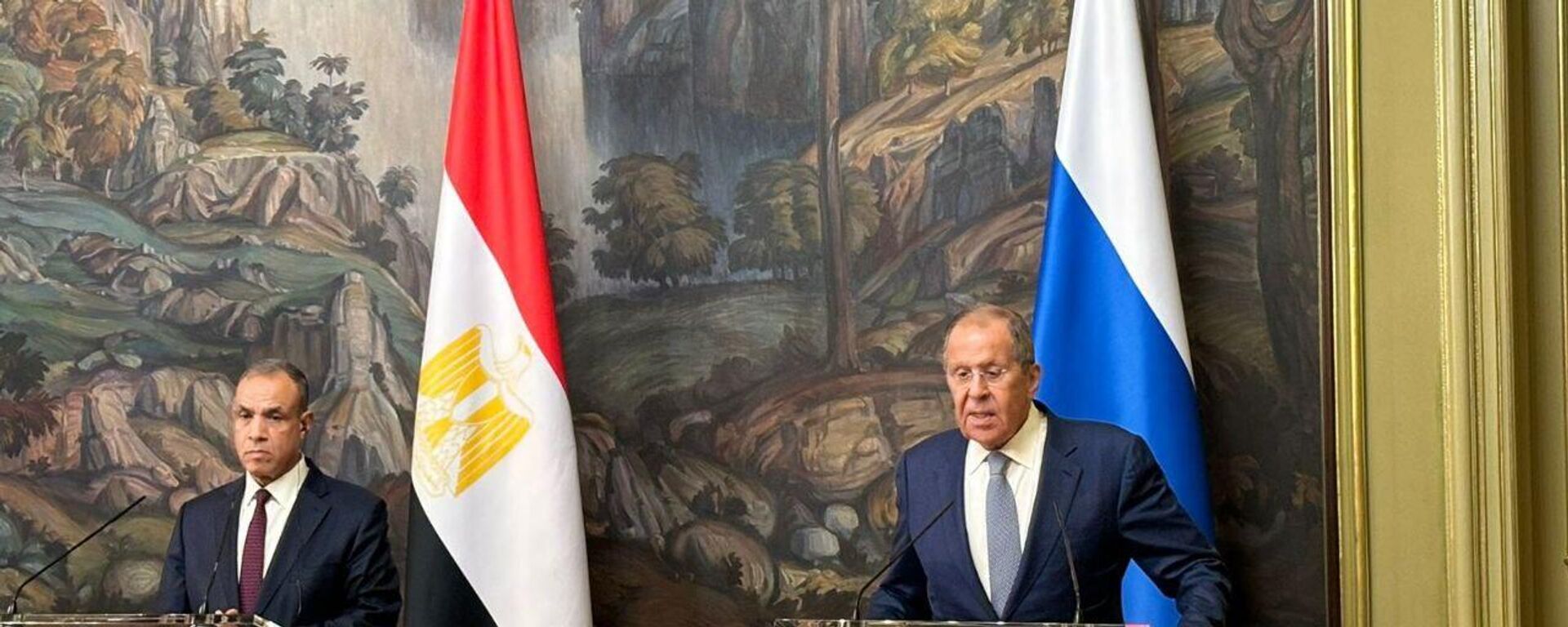 صور لاجتماع وزير الخارجية الروسي سيرغي لافروف مع نظيره المصري بدر عبد العاطي - سبوتنيك عربي, 1920, 18.12.2025