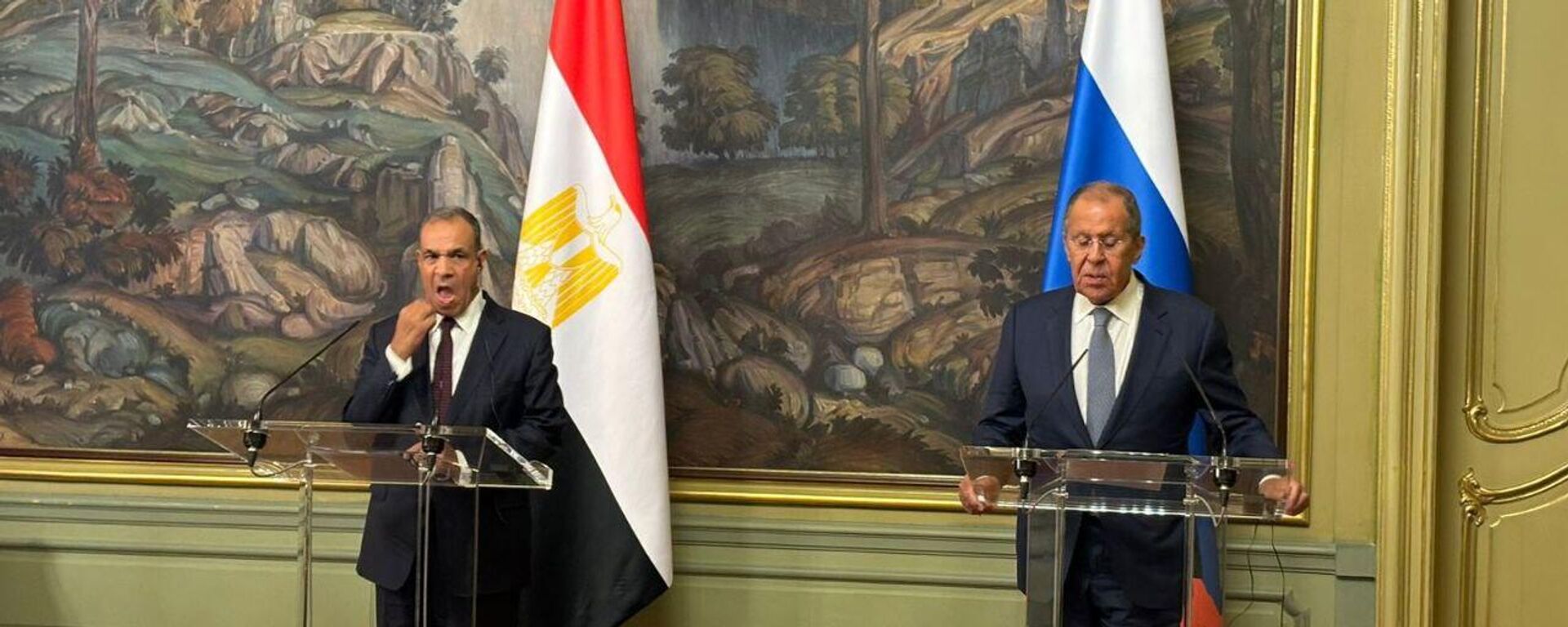 صور لاجتماع وزير الخارجية الروسي سيرغي لافروف مع نظيره المصري بدر عبد العاطي - سبوتنيك عربي, 1920, 19.08.2025