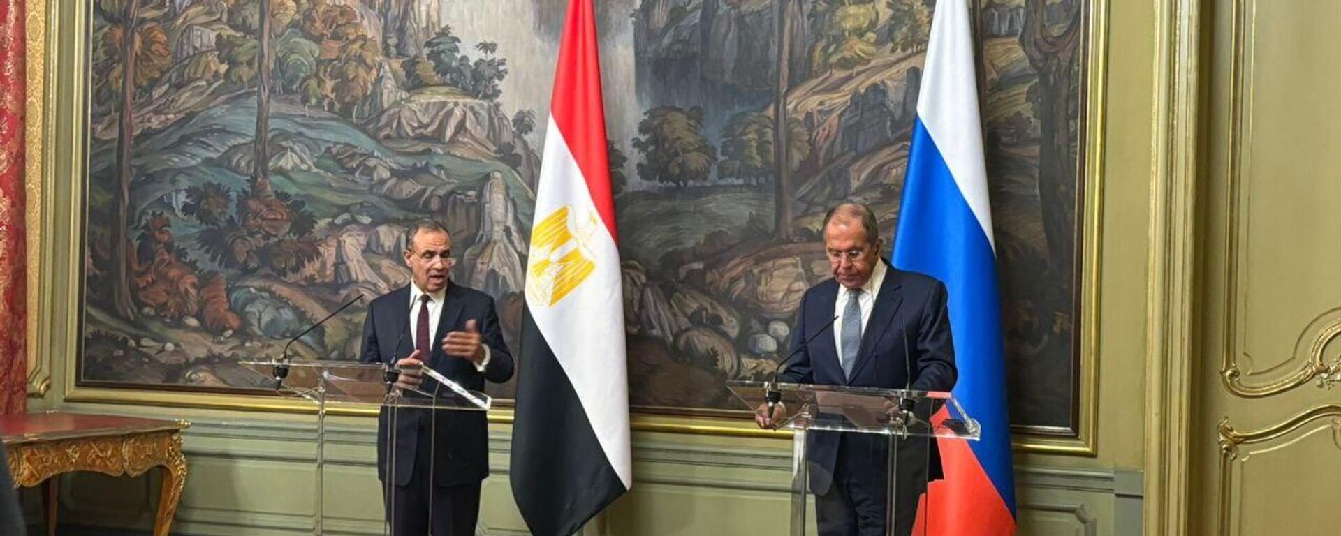 صور لاجتماع وزير الخارجية الروسي سيرغي لافروف مع نظيره المصري بدر عبد العاطي - سبوتنيك عربي, 1920, 17.06.2025