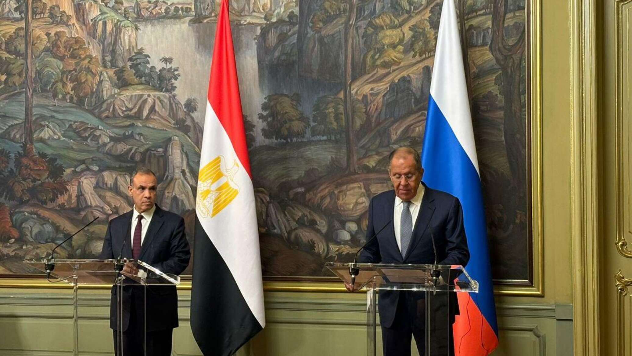 لافروف يبحث مع وزير الخارجية المصري مشروع القرار الأمريكي بشأن غزة