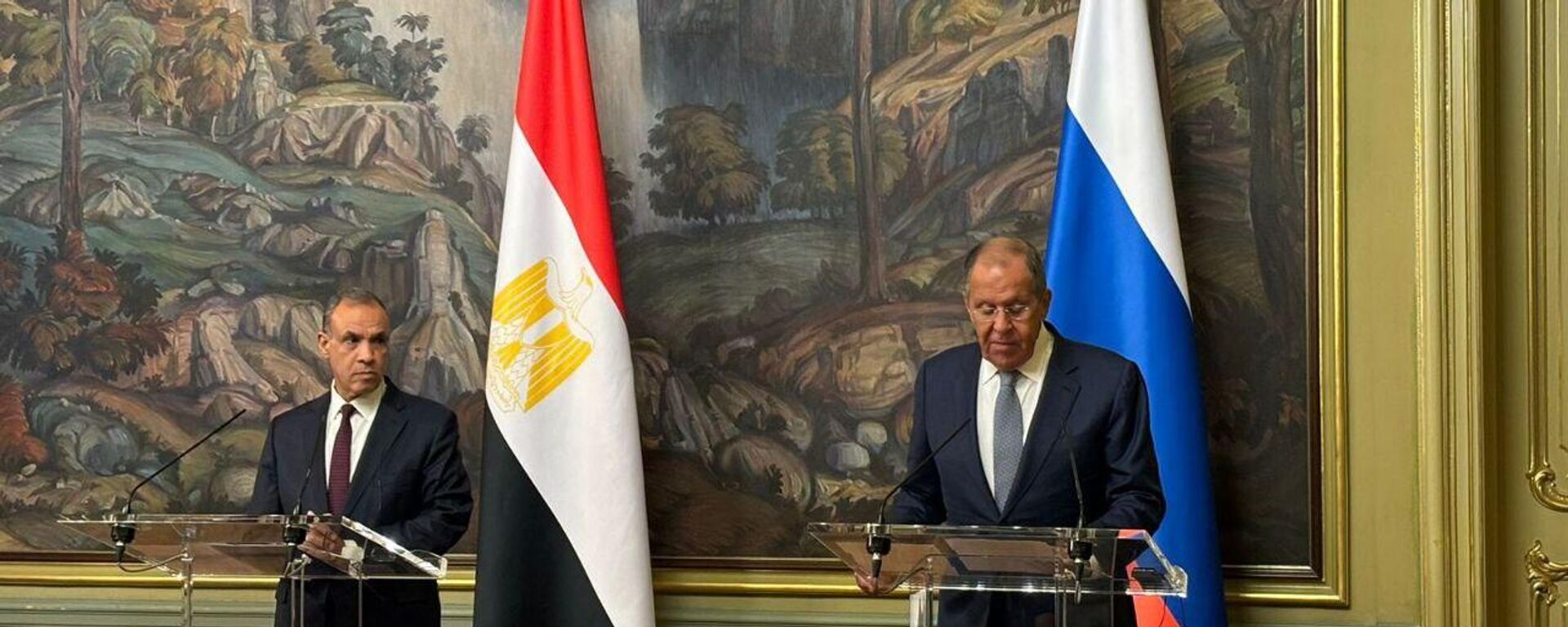 صور لاجتماع وزير الخارجية الروسي سيرغي لافروف مع نظيره المصري بدر عبد العاطي - سبوتنيك عربي, 1920, 16.11.2025