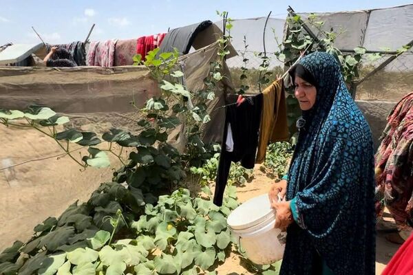 الزراعة على حدود الخيمة... مبادرة للاكتفاء الذاتي خلال الحرب على غزة - سبوتنيك عربي