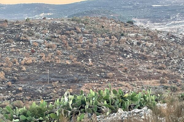 هيئة مقاومة الجدار والاستيطان: إسرائيل تصادر 45 ألف دونم من الضفة الغربية منذ السابع من أكتوبر 2023 - سبوتنيك عربي